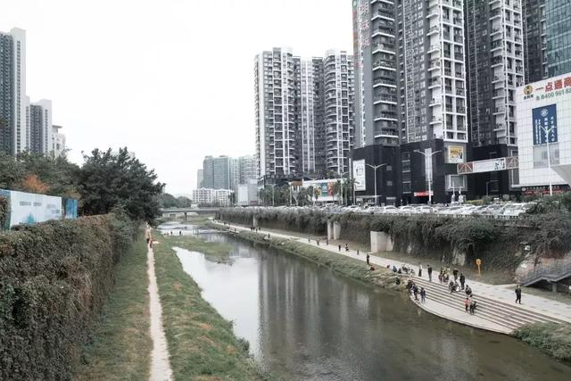 龙岗的中心城是哪里（这里是龙岗中心城）(44)