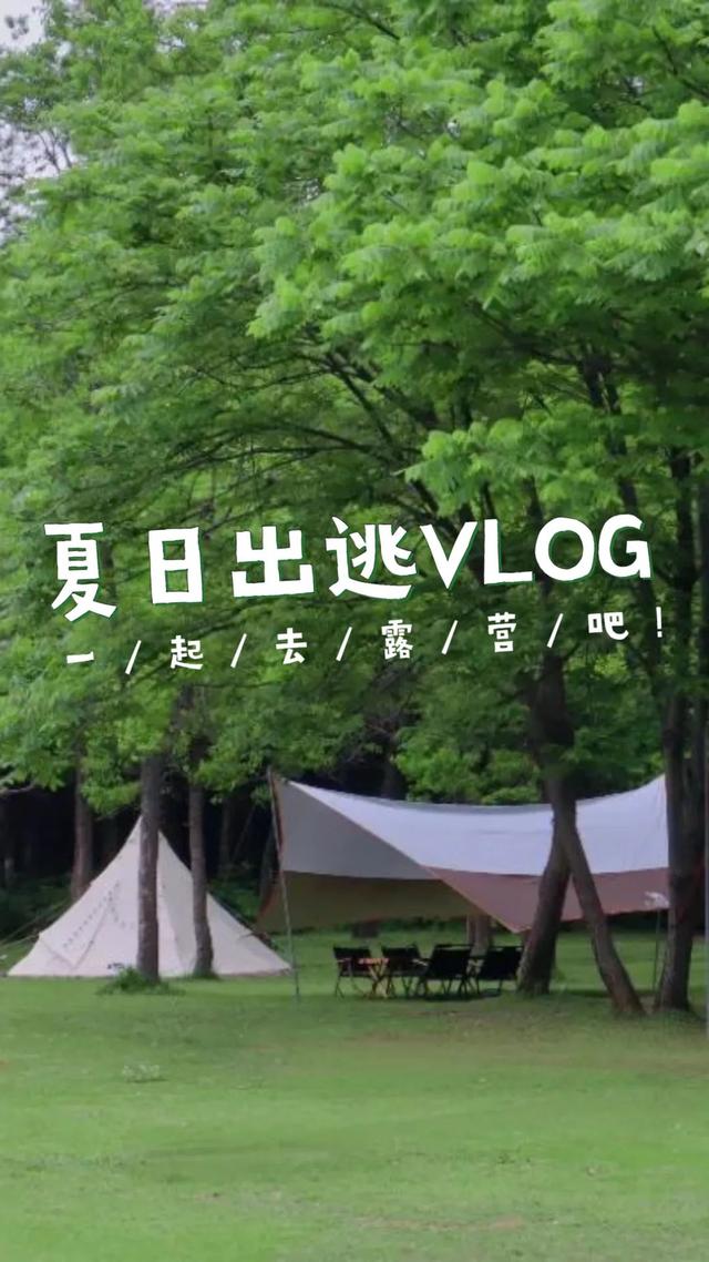 洛阳精致露营推荐（洛阳超全露营攻略请收好）(4)