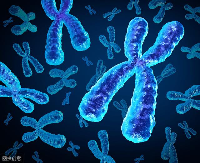 霸王项羽真实死因（据传西楚霸王项羽是双瞳孔）(11)