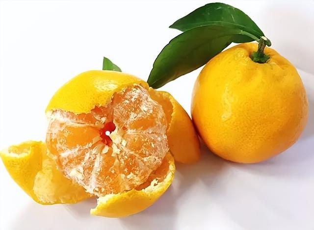 吃货必备的柑橘类水果 吃货必备的柑橘类水果(7)