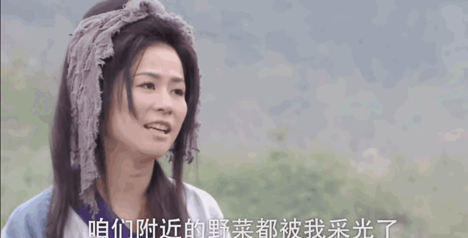 薛平贵与王宝钏第31集陈浩民(王宝钏挖野菜背后)(2)