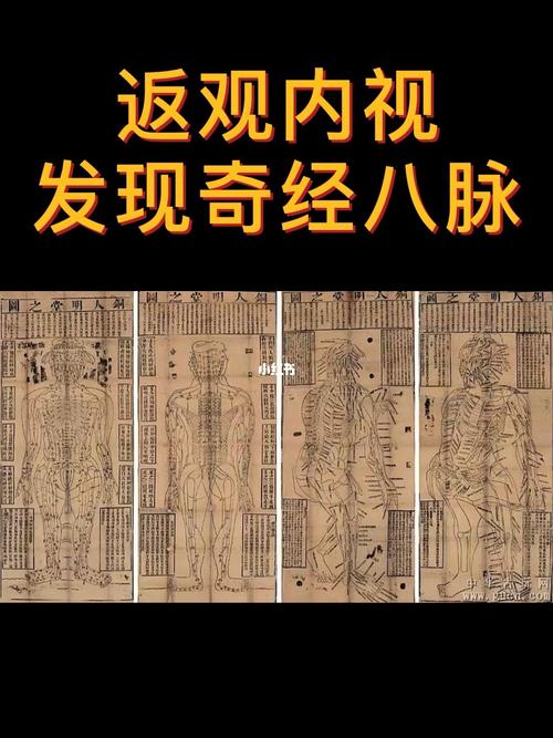 奇经八脉图解（奇经八脉详解）