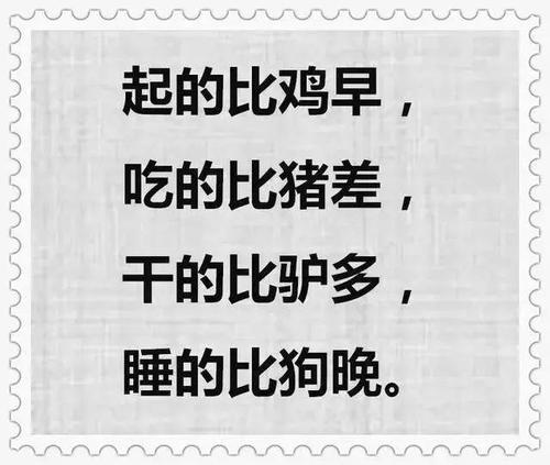 老话说睡得比狗晚起得比鸡早（抱大腿不嫌脚臭）