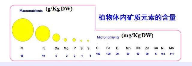 无土栽培配制营养液原则有哪些(无土栽培营养液)(12)