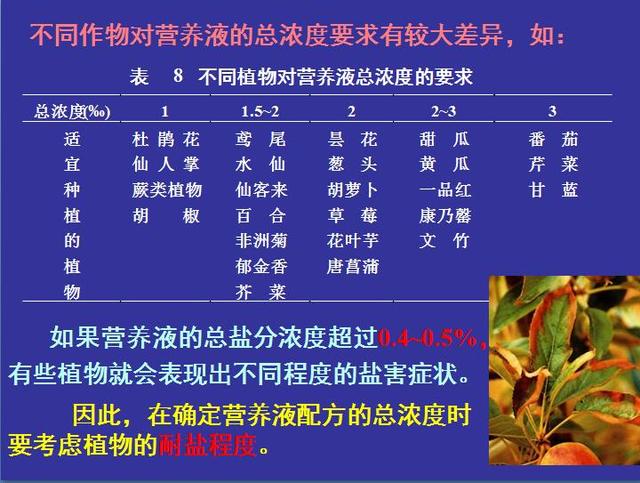 无土栽培配制营养液原则有哪些(无土栽培营养液)(11)