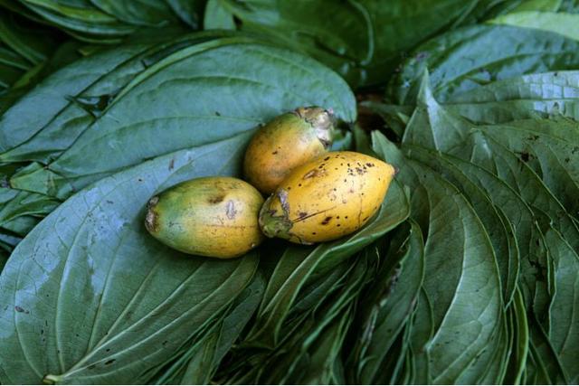 槟榔会在湖南下架吗(被多地要求下架背后)(4)