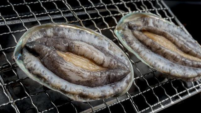 鲍鱼怎么才能养得活（顶级海鲜鲍鱼是如何养殖的）(2)