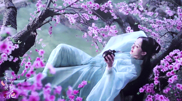 三生三世有几个系列在哪看(三生三世系列对比大盘点)(25)