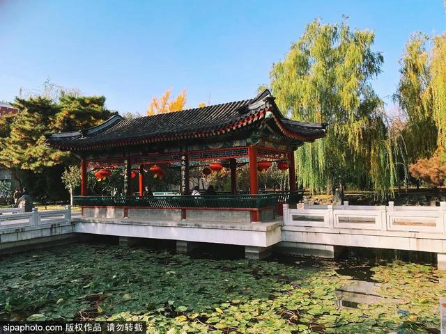 中式最美四合院（当江南风韵遇见北京传统四合院）(12)