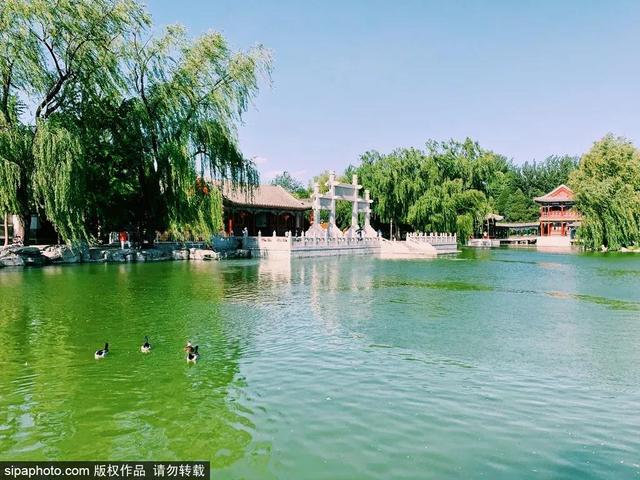 中式最美四合院（当江南风韵遇见北京传统四合院）(7)