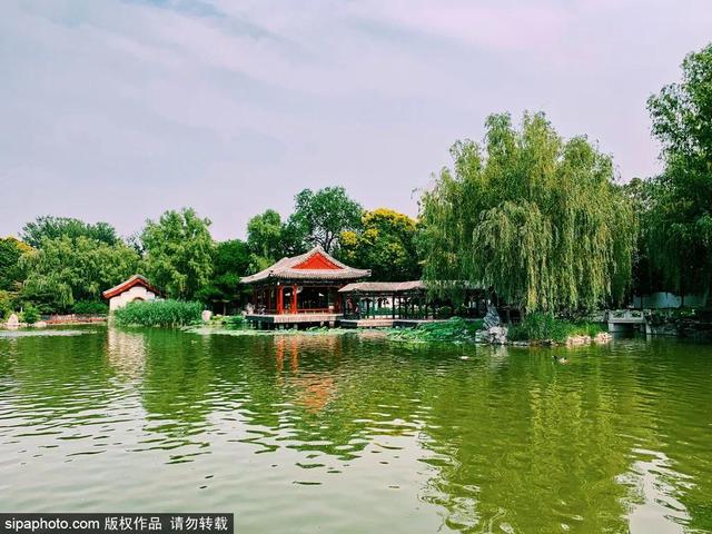 中式最美四合院（当江南风韵遇见北京传统四合院）(11)