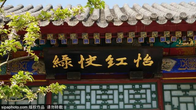 中式最美四合院（当江南风韵遇见北京传统四合院）(6)