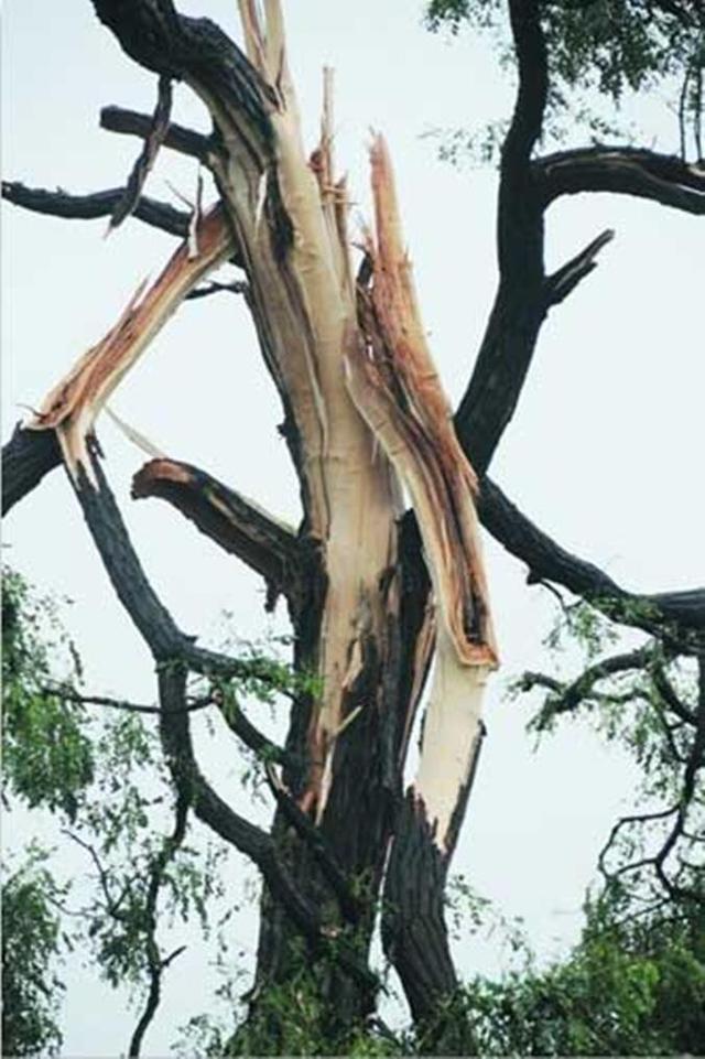 关羽的墓在哪里发现的（关羽墓里竟是4根铁链悬挂的古棺）(5)