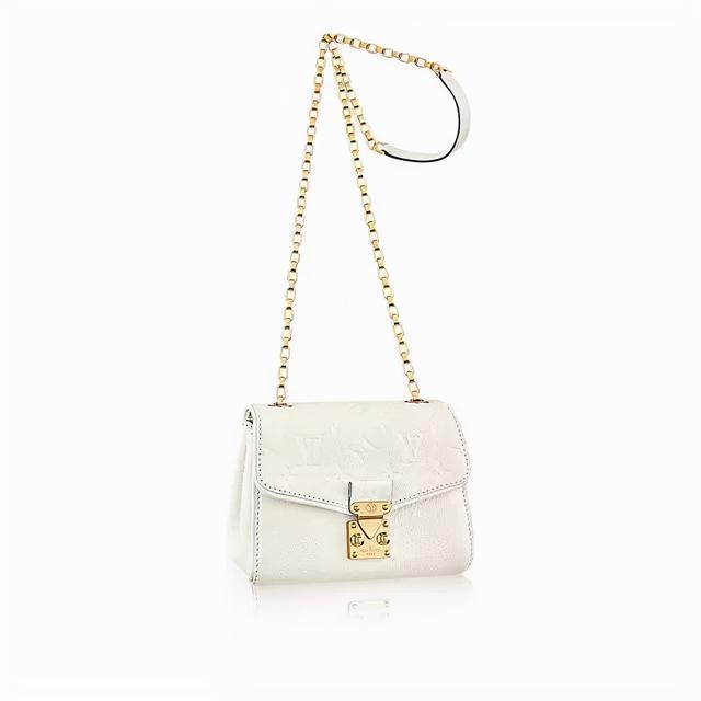 经典好搭配的lv包包（百余款经典LV老花）(38)