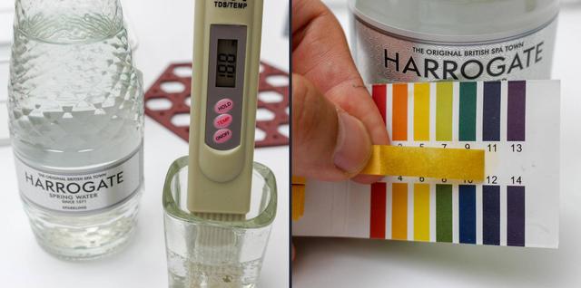 苏打水和苏打气泡水有什么区别（横评告诉你17款苏打水）(17)