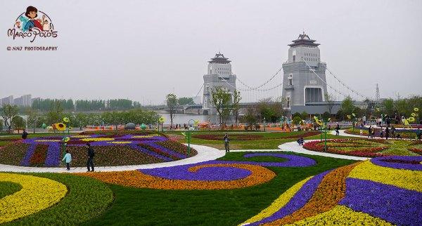 马可波罗游记云南（马可波罗花世界里穿越约起）(24)