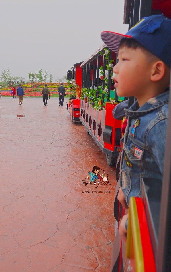 马可波罗游记云南（马可波罗花世界里穿越约起）(43)