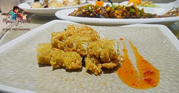 马可波罗游记云南（马可波罗花世界里穿越约起）(58)