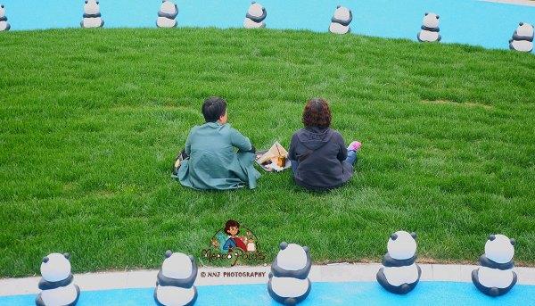 马可波罗游记云南（马可波罗花世界里穿越约起）(36)