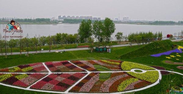 马可波罗游记云南（马可波罗花世界里穿越约起）(19)