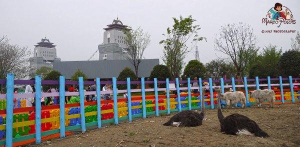 马可波罗游记云南（马可波罗花世界里穿越约起）(40)