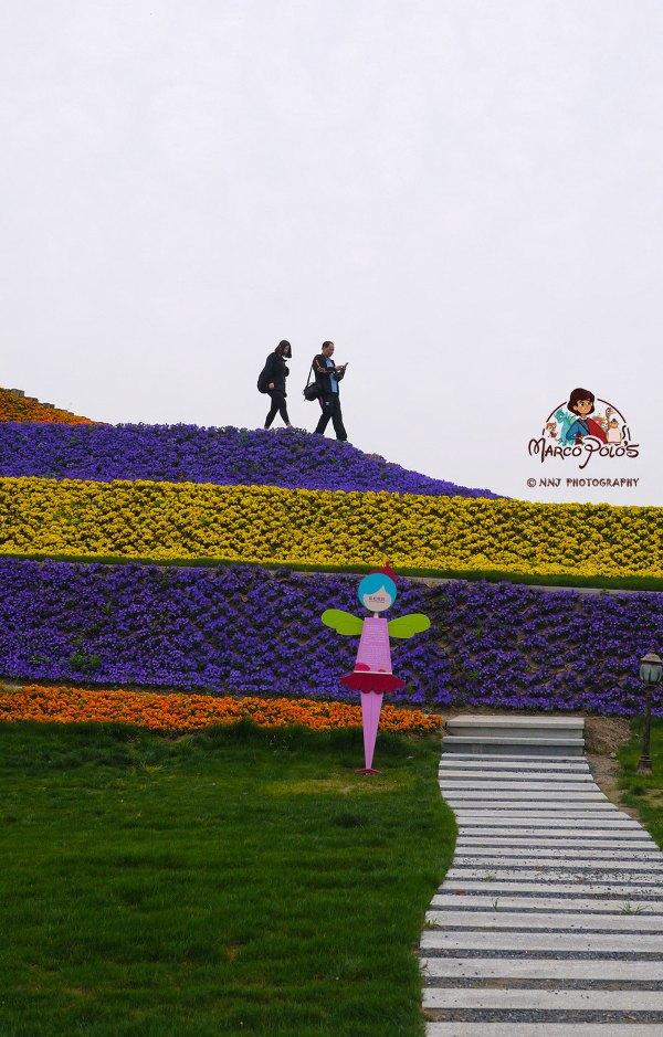 马可波罗游记云南（马可波罗花世界里穿越约起）(35)