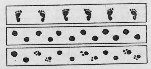 忍者三大基本忍术（忍者的自我修养）(4)