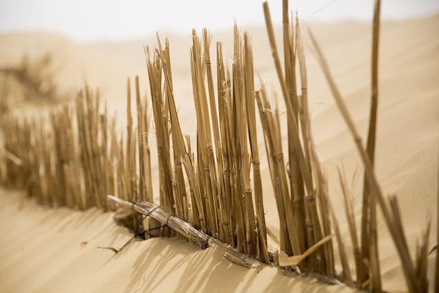 穿越塔克拉玛干沙漠哪条线最美（自驾2000余公里沙漠公路）(13)