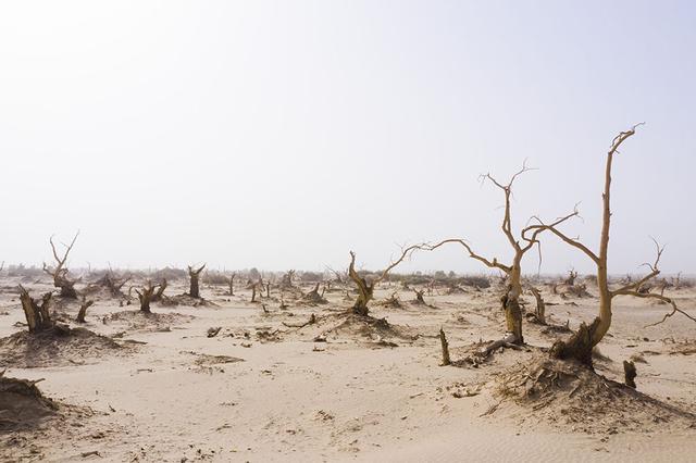 穿越塔克拉玛干沙漠哪条线最美（自驾2000余公里沙漠公路）(32)