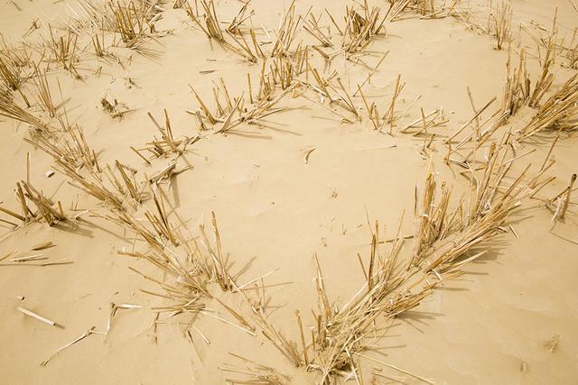 穿越塔克拉玛干沙漠哪条线最美（自驾2000余公里沙漠公路）(8)