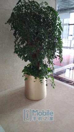 ivvi手机各款式（ivvi小骨Pro评测一款走心的千元机）(55)