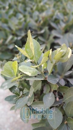 ivvi手机各款式（ivvi小骨Pro评测一款走心的千元机）(59)