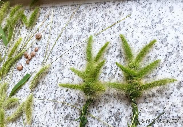 小时候玩过的玩具80后满满的回忆（49个怀旧童年玩具）(52)