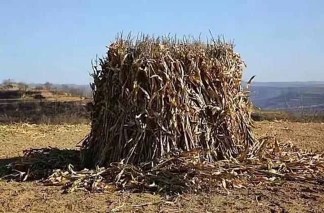 小时候玩过的玩具80后满满的回忆（49个怀旧童年玩具）(45)