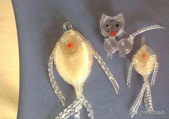 小时候玩过的玩具80后满满的回忆（49个怀旧童年玩具）(67)