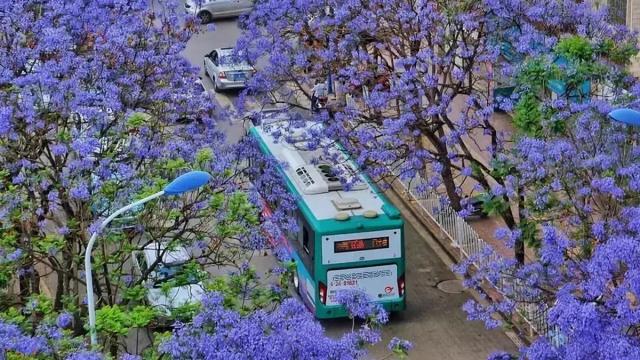 春天最适合旅行的地方（12个最适合踏春的旅行地）(37)