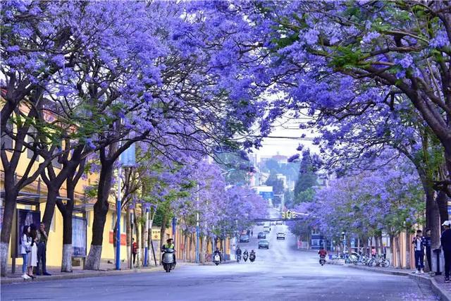 春天最适合旅行的地方（12个最适合踏春的旅行地）(38)