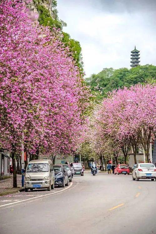 春天最适合旅行的地方（12个最适合踏春的旅行地）(44)