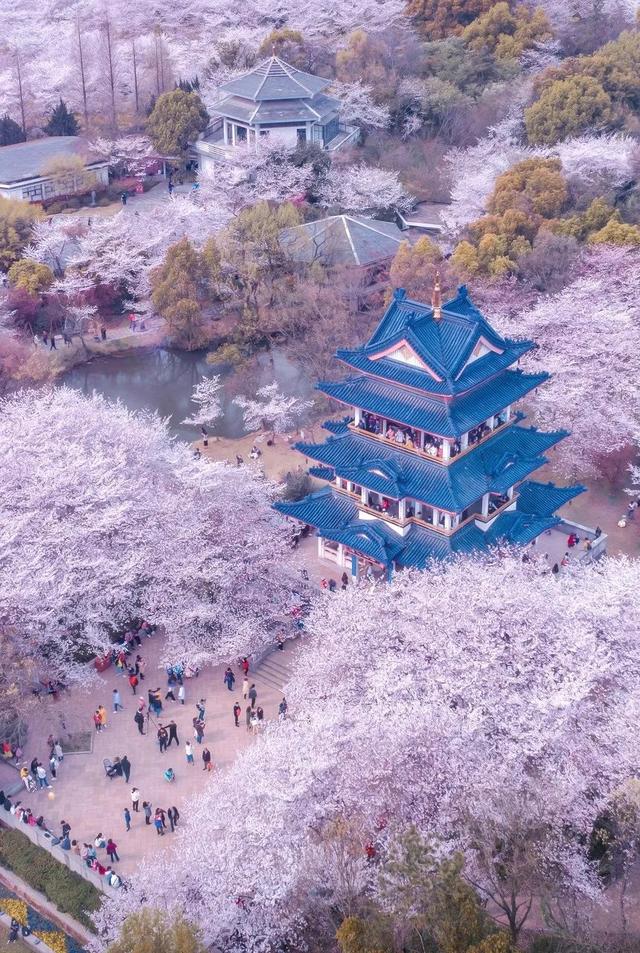 春天最适合旅行的地方（12个最适合踏春的旅行地）(9)