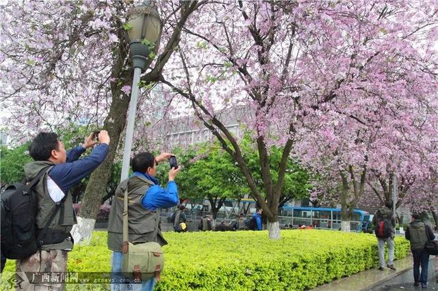 春天最适合旅行的地方（12个最适合踏春的旅行地）(45)
