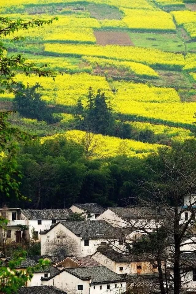 春天最适合旅行的地方（12个最适合踏春的旅行地）(41)