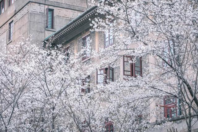 春天最适合旅行的地方（12个最适合踏春的旅行地）(28)