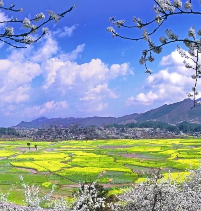 春天最适合旅行的地方（12个最适合踏春的旅行地）(22)