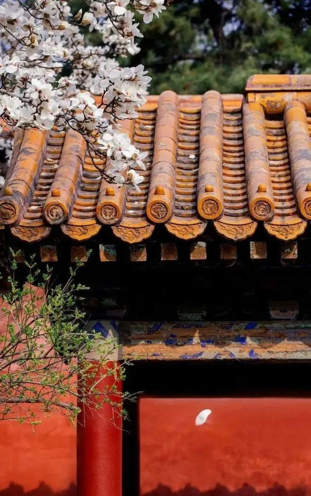 春天最适合旅行的地方（12个最适合踏春的旅行地）(12)