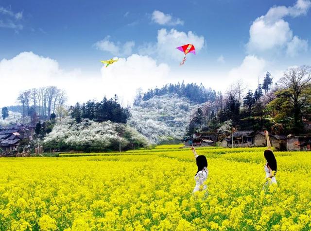 春天最适合旅行的地方（12个最适合踏春的旅行地）(23)