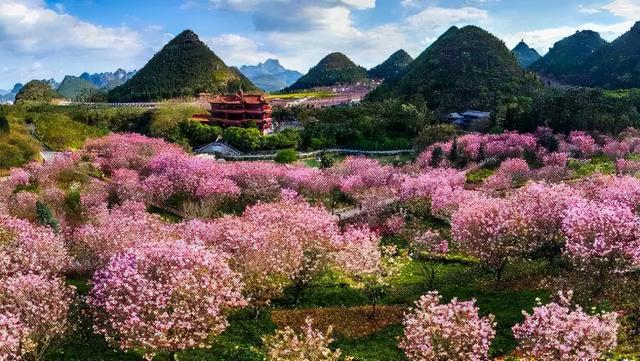 春天最适合旅行的地方（12个最适合踏春的旅行地）(31)