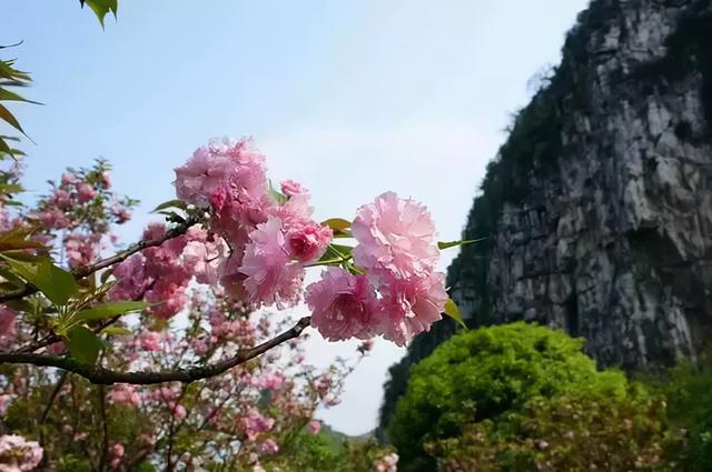 春天最适合旅行的地方（12个最适合踏春的旅行地）(35)