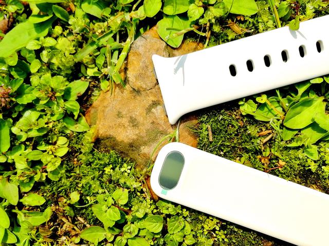 oppo watch一代最详细介绍 高性价比功能强大(14)