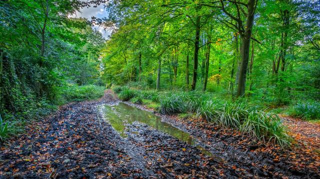 审核员最近的现状（审核员行业里的那些事儿）(10)