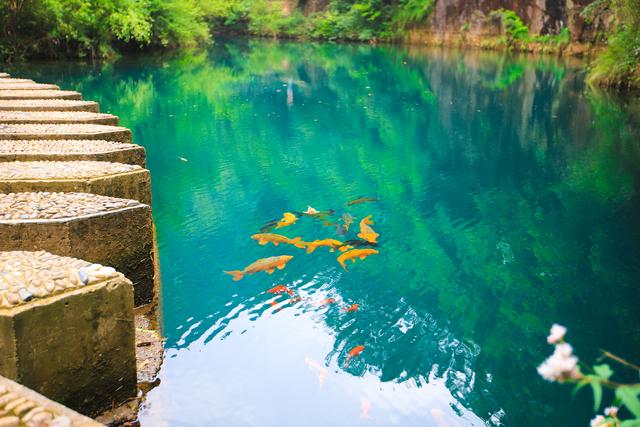 最美富春江桐庐二日游（桐庐两天一晚游攻略）(63)